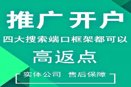 SEM托管服务，成功案例见证转化奇迹