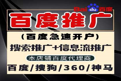 揭秘SEM竞价托管：实战案例深度解析